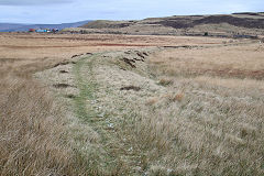 
Milfraen Colliery railway, November 2021