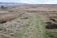 
Milfraen Colliery railway, November 2021