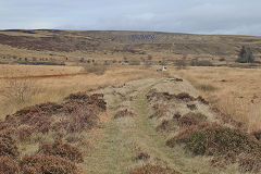 
Milfraen Colliery railway, November 2021