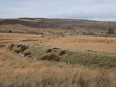 
Milfraen Colliery railway, November 2021