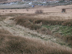 
Milfraen Colliery railway, November 2021