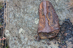 
Fragment of a tramplate at New Clydach Slope Colliery, November 2019