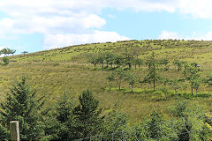 
Along the route of the LNWR Blaenavon to Brynmawr line from the Llammarch Tramroad, July 2020