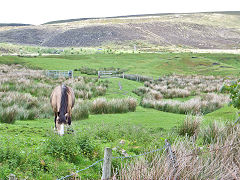 Waunavon Slope ironstone mine, Blaenavon, June 2014