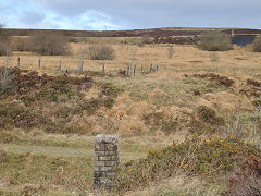 
Aqueduct over the LNWR draining the bog, November 2021