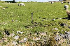 
Keepers Cottage, Pen-fford-goch, SO 2548 1046, May 2015