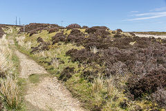 
Pen-Fford-Goch coal tramroad formation, May 2015