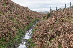 
Hill's Tramroad to Llanfoist, November 2017