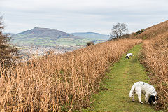 
Hill's Tramroad to Llanfoist, November 2017