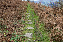 
Hill's Tramroad to Llanfoist, November 2017