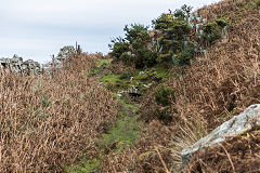 
Hill's Tramroad tunnel on the way to Llanfoist, November 2017