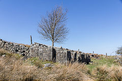 
The ruins of Pen Rhiw Ifor, April 2015