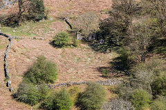 
Smallholding on The Tumble, April 2015