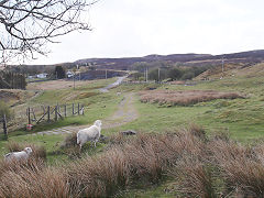 
Tyla tramway looking towards Pwlldu Tunnel, May 2021