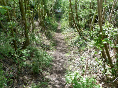 
Archdeacon Coxes incline of 1798, May 2012