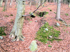 Coed-y-Darren, trial level on entrance lane, January 2010