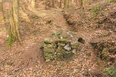 
Coed-y-Darren, stonework, possibly recent, February 2015