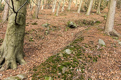 
Coed-y-Darren, trial level on entrance lane, February 2015