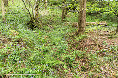 Coed-y-Darren level 6, May 2015