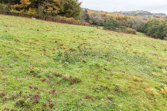 
Below Cwm-byr-isaf, possibly the site of the trial shaft, October 2015