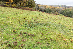 Below Cwm-byr-isaf, possibly the site of the trial shaft, October 2015