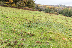 
Below Cwm-byr-isaf, possibly the site of the trial shaft, October 2015