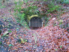 Darren Colliery Level 1, August 2008