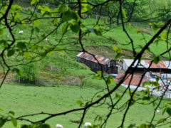 
The Northern levels and Old Mill brickyard, Darren Valley, May 2013