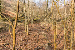 
Darren Colliery tramway to the upper levels, February 2015