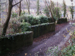 
Darren Quarry loading bank beside stone tunnel, December 2008