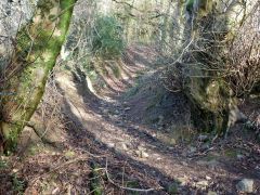 
A possible collapsed level above Greens Level, January 2012