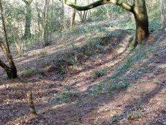 
A possible collapsed level above Greens Level, January 2012