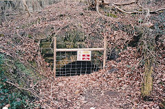 Darren Colliery Level 1, c2000, © Photo courtesy of David Williams and Risca Museum