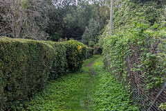 
The tramroad route at Myrtle Cottage, August 2020