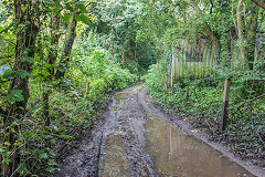 
The tramroad route at Myrtle Cottage, August 2020