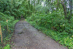 The tramroad route at Myrtle Cottage, August 2020