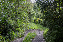 
The tramroad route at Myrtle Cottage, August 2020