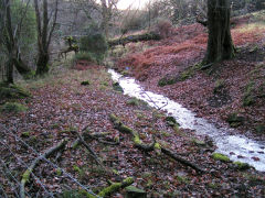 
Leat to Risca brickworks waterwheel, August 2008