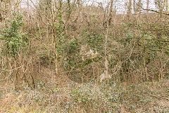 
Risca Old Quarry, February 2015