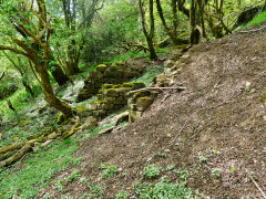 
Ysgubor Newydd limekiln, May 2013