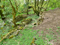 
Ysgubor Newydd limekiln, May 2013