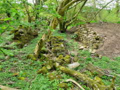 
Ysgubor Newydd limekiln, May 2013