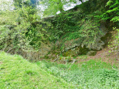 
Ysgubor Newydd limekiln quarry, May 2013