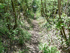 
Archdeacon Coxe's tramroad, Looking down from the canal, Risca, May 2012