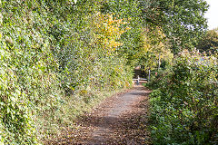 
Alternative access to Blackvein Colliery, Looking up to the canal, Risca, October 2015