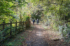 
Alternative access to Blackvein Colliery, Looking down to the railway, Risca, October 2015