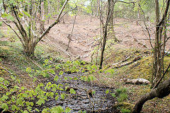 
Buck Farm level, Risca Blackvein, May 2010