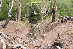 
Buck Farm level, Risca Blackvein, May 2010