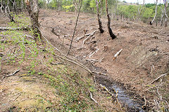 
Buck Farm level, Risca Blackvein, May 2010