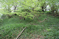 
Buck Farm tip, Risca Blackvein, May 2010